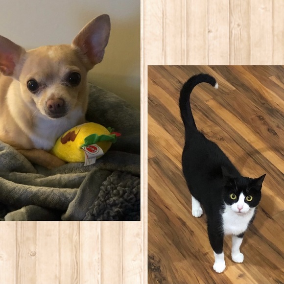 🪷Meet your Posher, Ashley🪷 - Picture 9 of 11